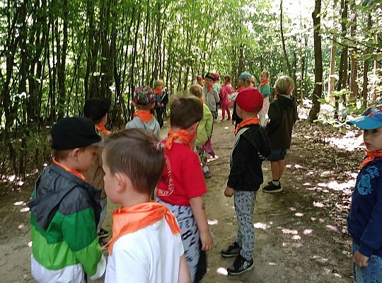 Wycieczka do Stryszej Budy gr III,IV