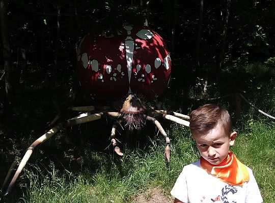 Wycieczka do Stryszej Budy gr III,IV