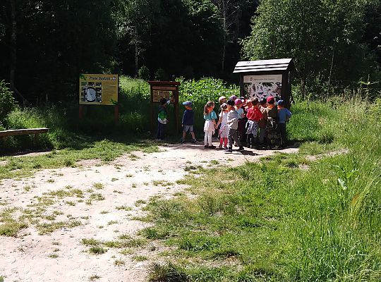 Wycieczka do Stryszej Budy gr III,IV