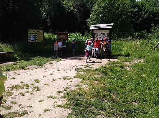 Wycieczka do Stryszej Budy gr III,IV