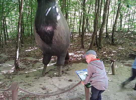 Wycieczka do Stryszej Budy gr III,IV