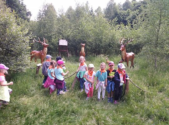 Wycieczka do Stryszej Budy gr III,IV