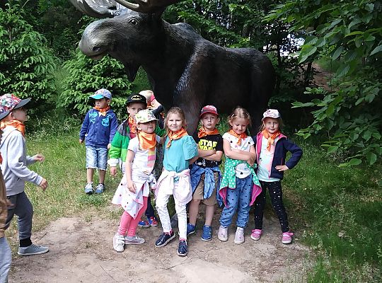 Wycieczka do Stryszej Budy gr III,IV