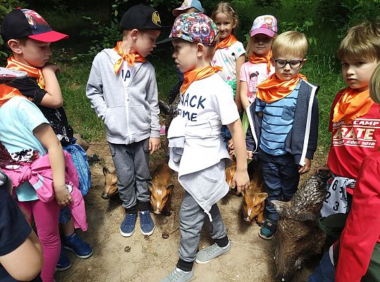 Wycieczka do Stryszej Budy gr III,IV