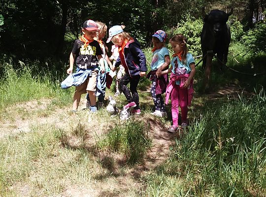 Wycieczka do Stryszej Budy gr III,IV