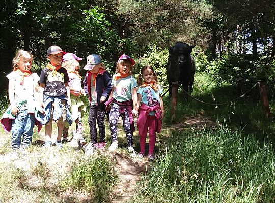 Wycieczka do Stryszej Budy gr III,IV