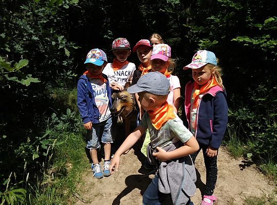 Wycieczka do Stryszej Budy gr III,IV