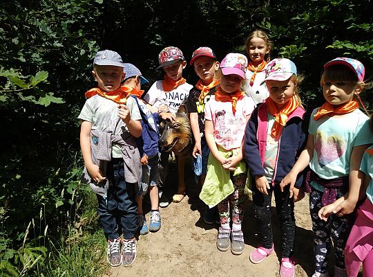 Wycieczka do Stryszej Budy gr III,IV