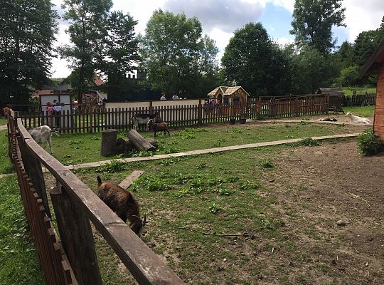 Wycieczka do Stryszej Budy gr III,IV