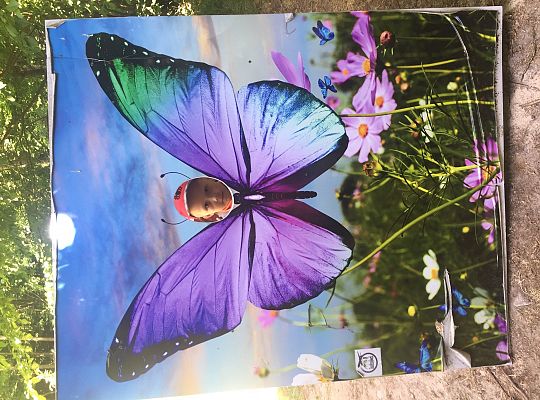 Wycieczka do Stryszej Budy gr III,IV