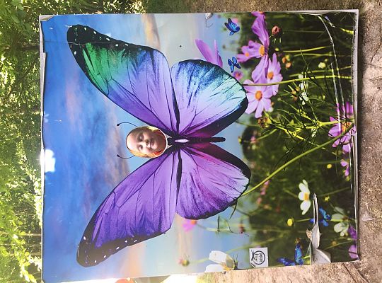 Wycieczka do Stryszej Budy gr III,IV