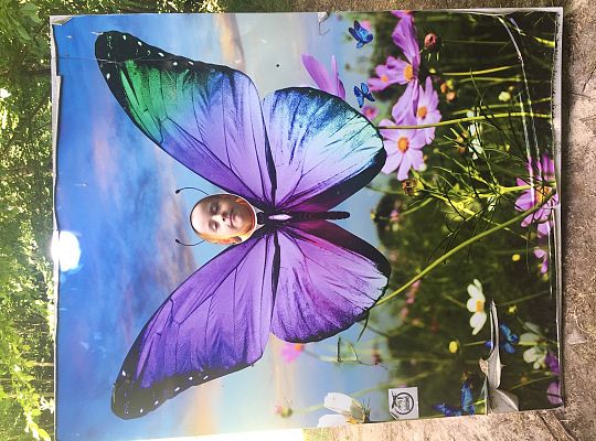 Wycieczka do Stryszej Budy gr III,IV