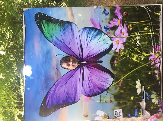 Wycieczka do Stryszej Budy gr III,IV