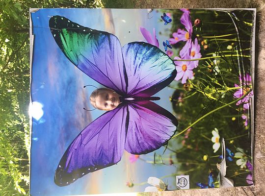 Wycieczka do Stryszej Budy gr III,IV