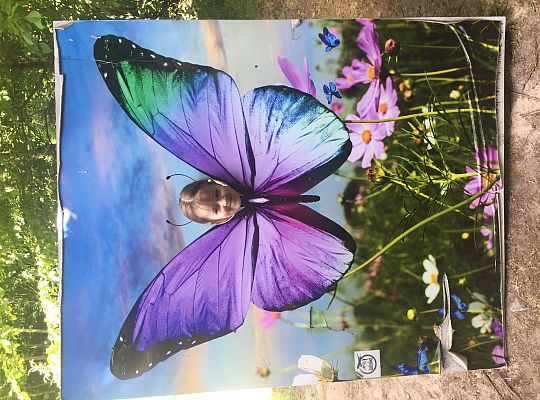 Wycieczka do Stryszej Budy gr III,IV