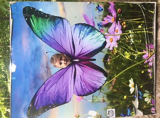 Wycieczka do Stryszej Budy gr III,IV