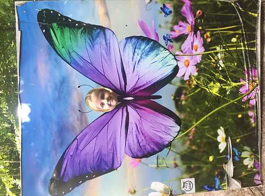 Wycieczka do Stryszej Budy gr III,IV