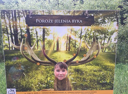 Wycieczka do Stryszej Budy gr III,IV