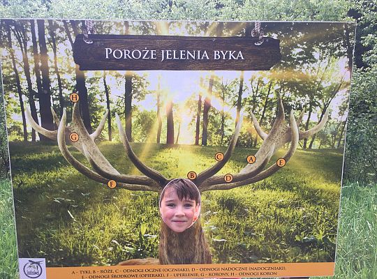 Wycieczka do Stryszej Budy gr III,IV