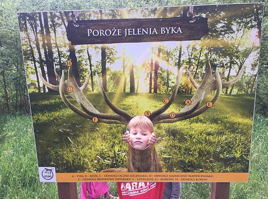 Wycieczka do Stryszej Budy gr III,IV