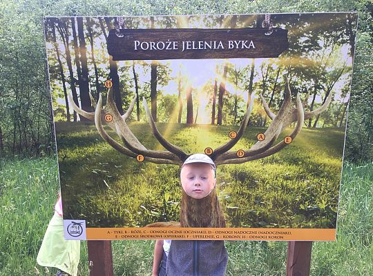 Wycieczka do Stryszej Budy gr III,IV