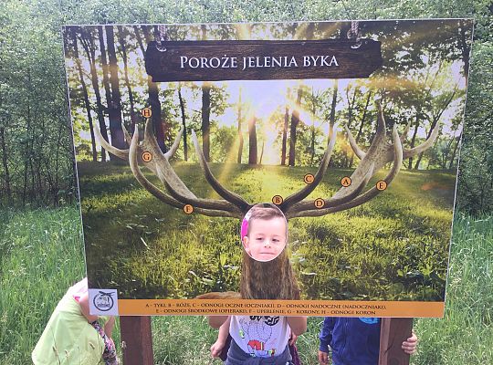 Wycieczka do Stryszej Budy gr III,IV