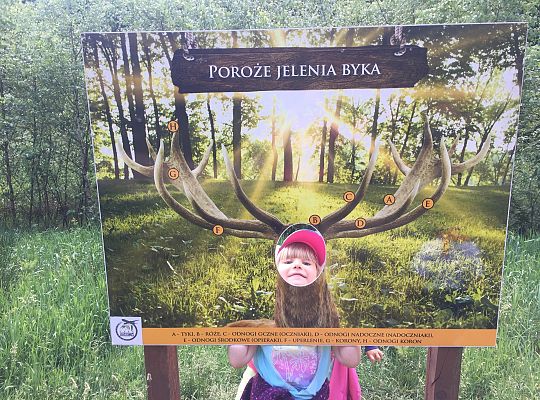 Wycieczka do Stryszej Budy gr III,IV