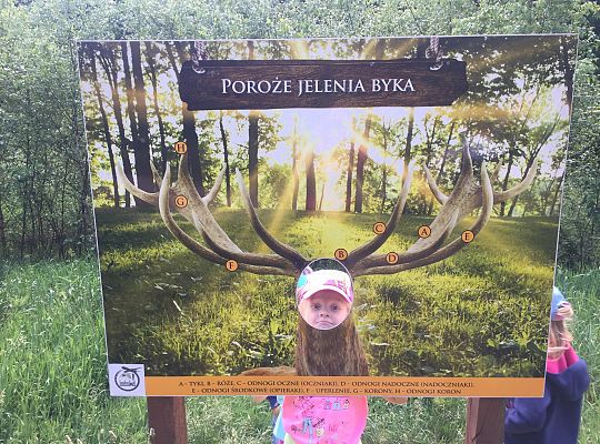 Wycieczka do Stryszej Budy gr III,IV