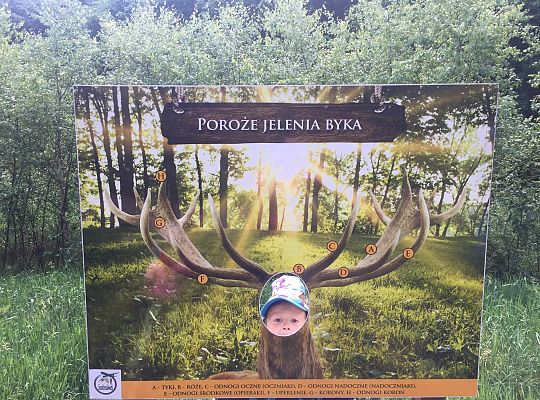 Wycieczka do Stryszej Budy gr III,IV