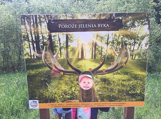 Wycieczka do Stryszej Budy gr III,IV