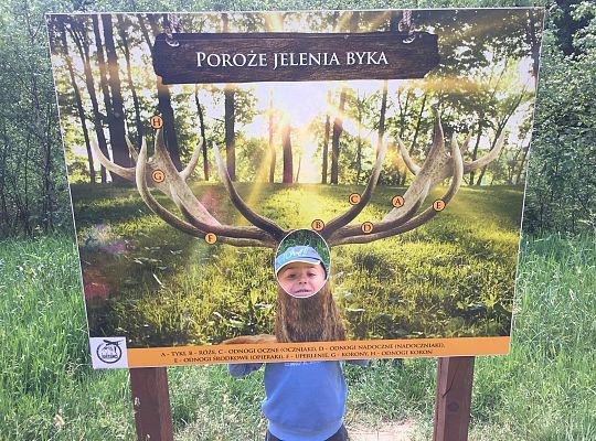 Wycieczka do Stryszej Budy gr III,IV