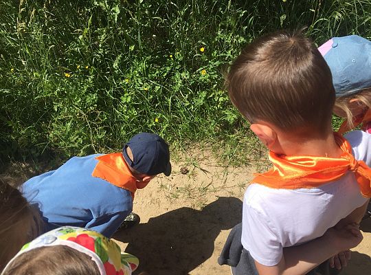 Wycieczka do Stryszej Budy gr III,IV