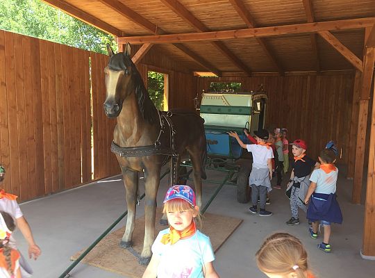 Wycieczka do Stryszej Budy gr III,IV