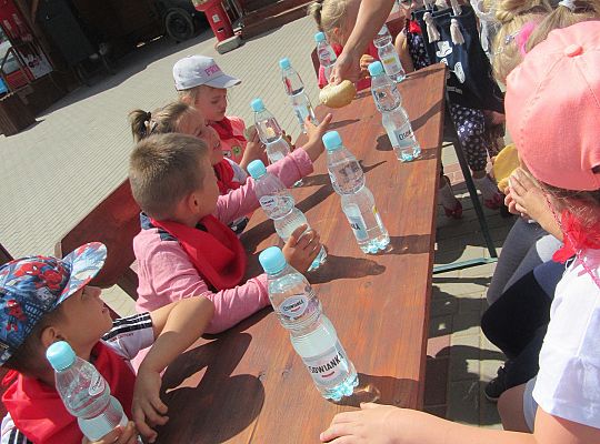 Wycieczka do Stryszej Budy gr III,IV