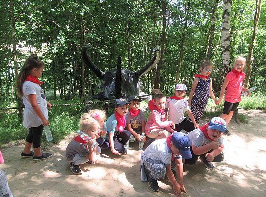 Wycieczka do Stryszej Budy gr III,IV