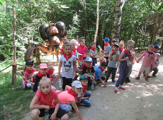 Wycieczka do Stryszej Budy gr III,IV