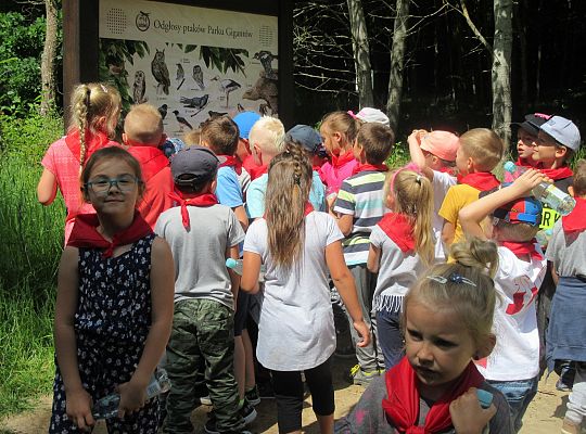 Wycieczka do Stryszej Budy gr III,IV