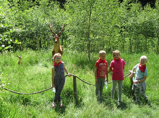 Wycieczka do Stryszej Budy gr III,IV