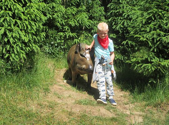 Wycieczka do Stryszej Budy gr III,IV