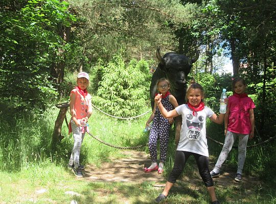 Wycieczka do Stryszej Budy gr III,IV