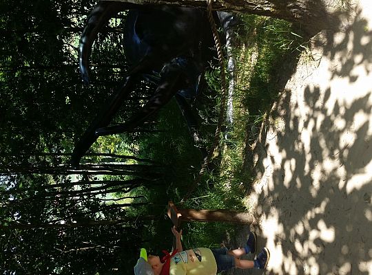 Wycieczka do Stryszej Budy gr I,II