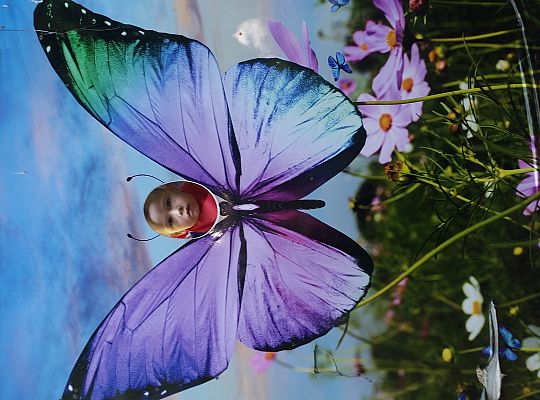 Wycieczka do Stryszej Budy gr I,II