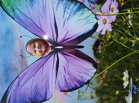 Wycieczka do Stryszej Budy gr I,II