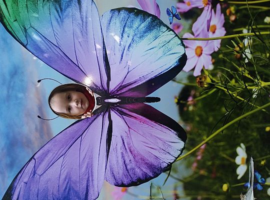 Wycieczka do Stryszej Budy gr I,II