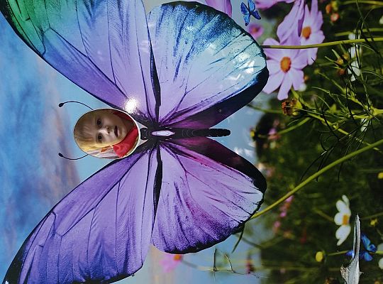 Wycieczka do Stryszej Budy gr I,II