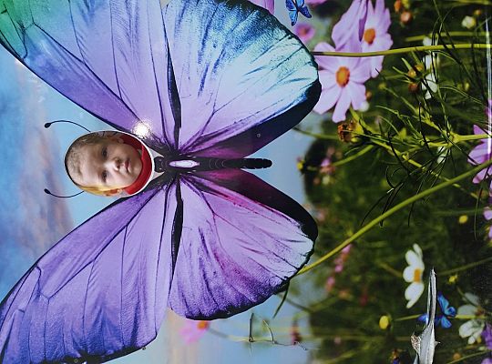 Wycieczka do Stryszej Budy gr I,II