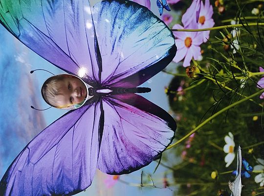 Wycieczka do Stryszej Budy gr I,II