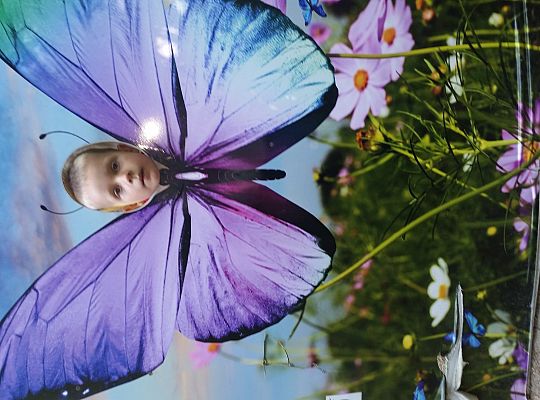 Wycieczka do Stryszej Budy gr I,II