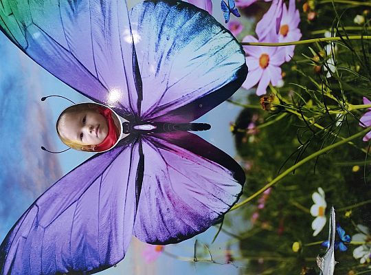 Wycieczka do Stryszej Budy gr I,II