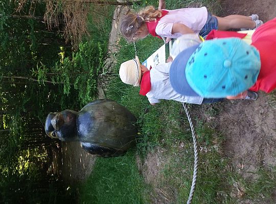 Wycieczka do Stryszej Budy gr I,II